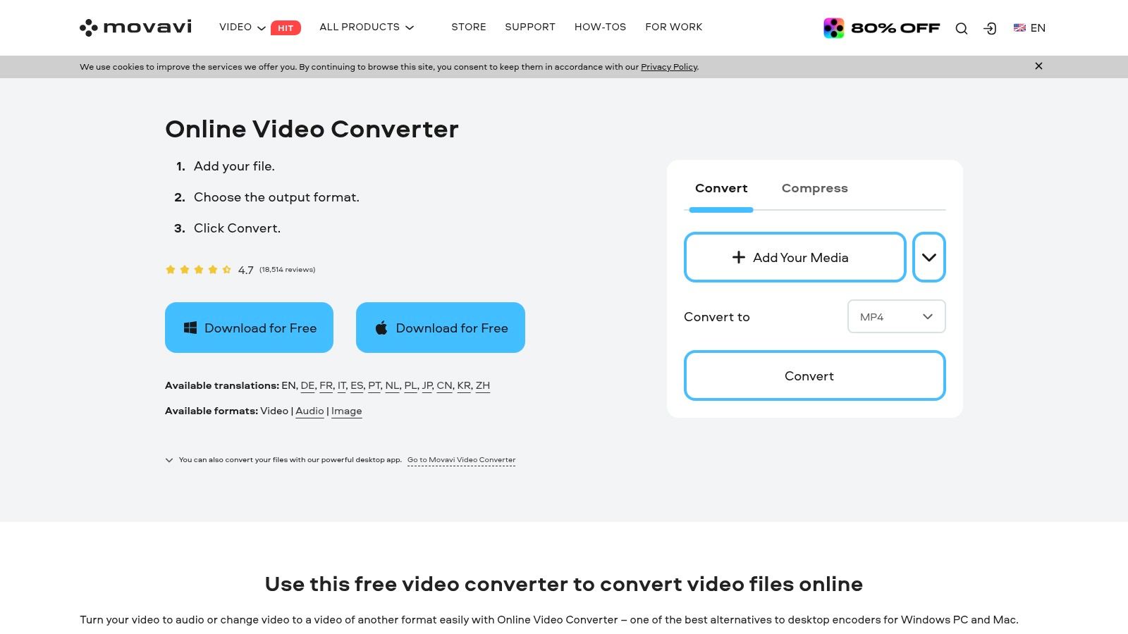 Movavi Video Converter