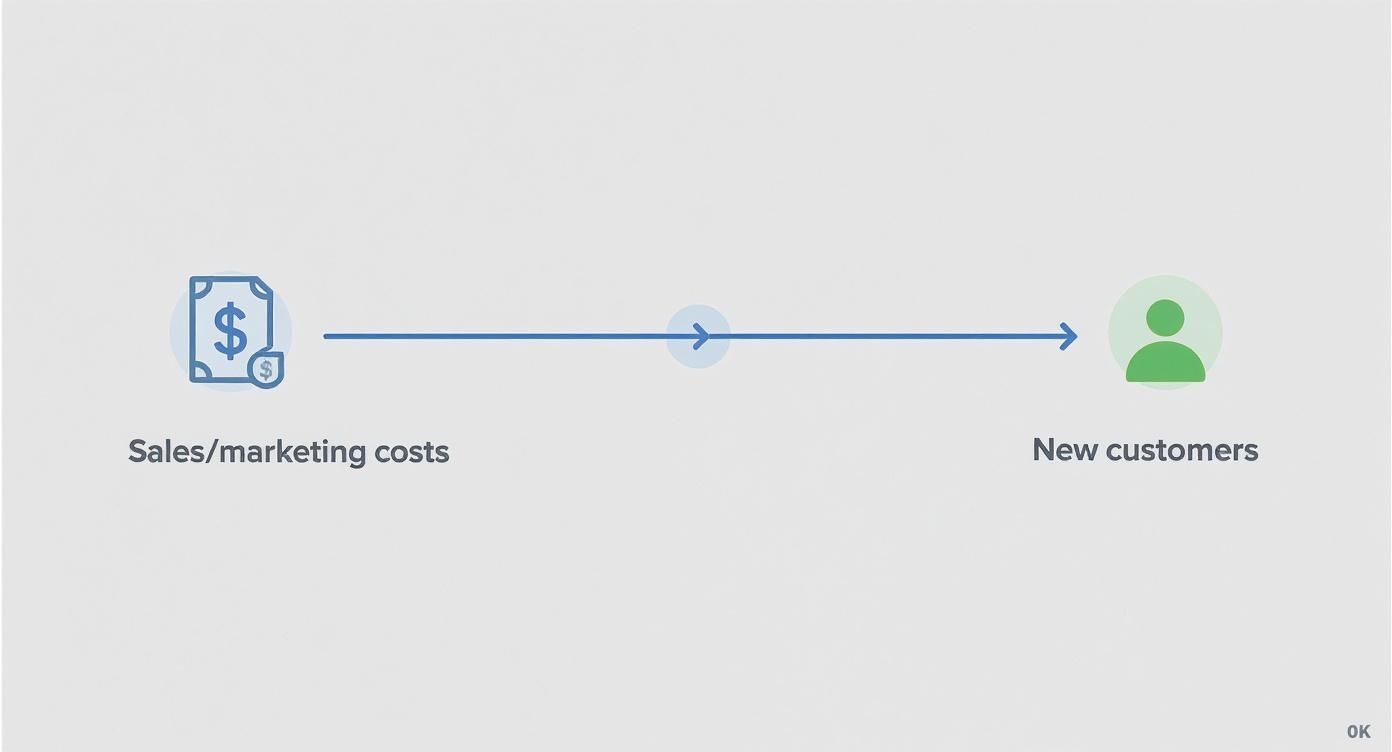 Infographic about customer acquisition cost calculation