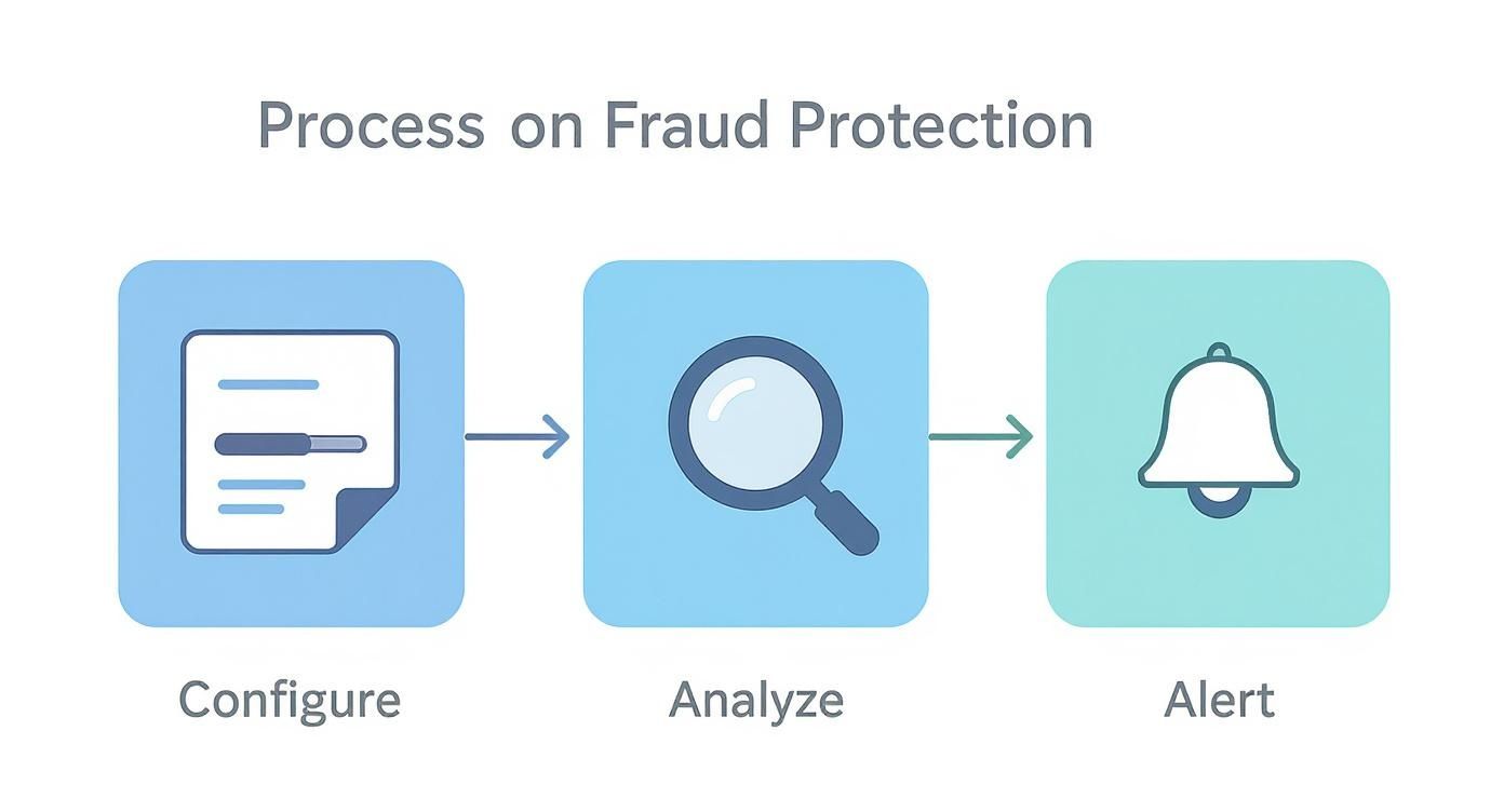 Infographic about fraud detection in online payments
