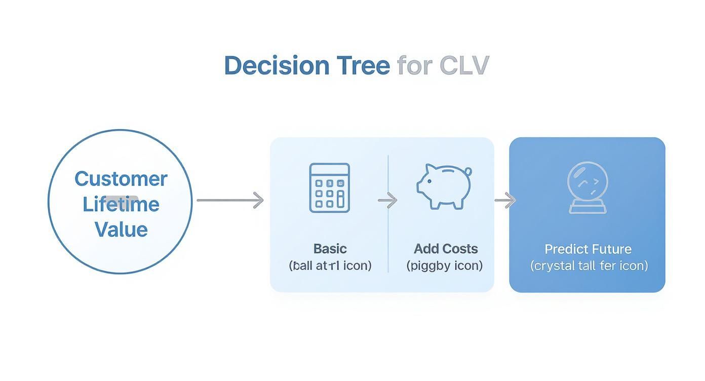 A decision tree illustrating the Customer Lifetime Value (CLV) calculation process, including basic calculation, adding costs, and future prediction.