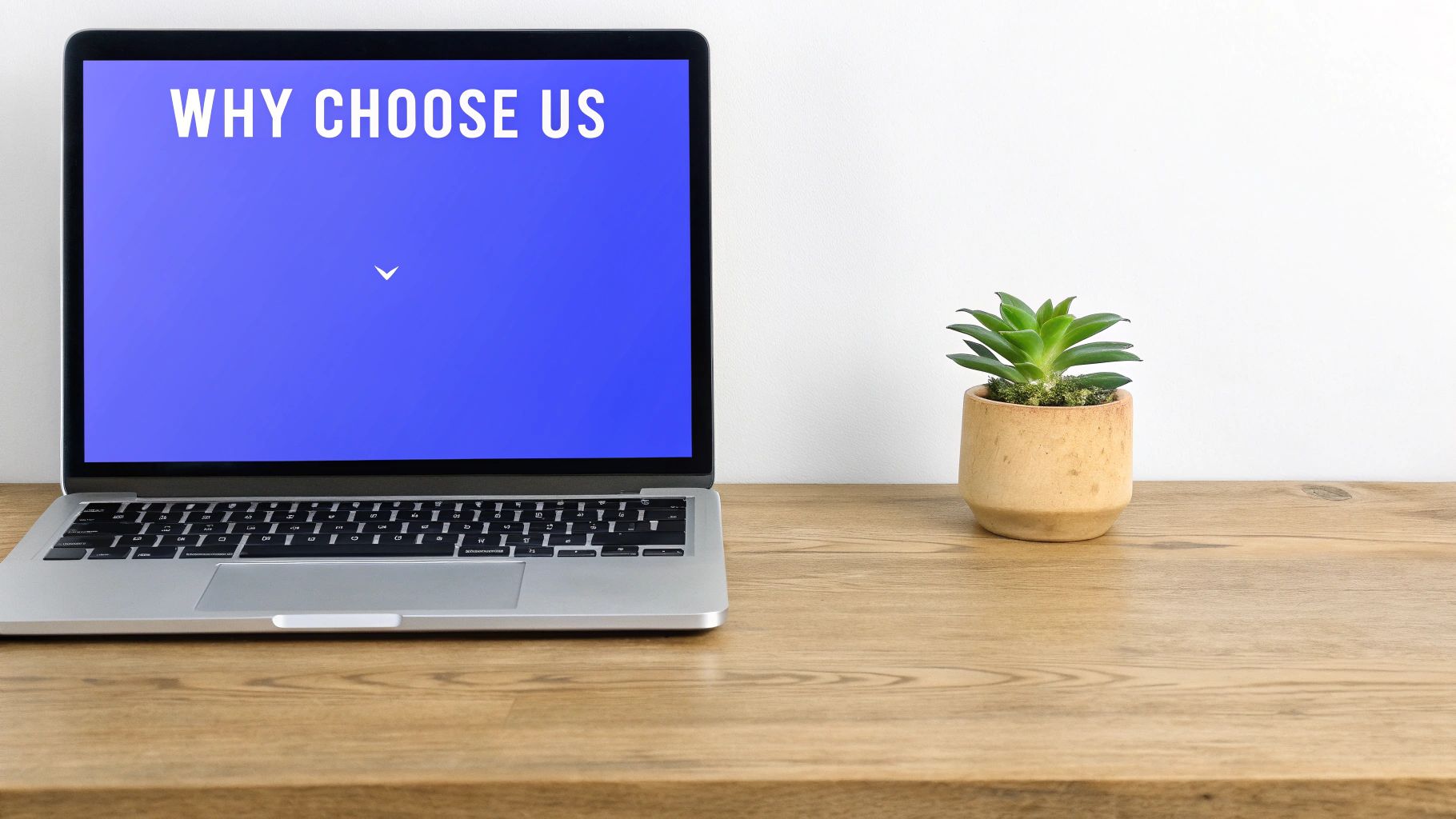 Laptop displaying why choose us text on blue screen with plant on wooden desk