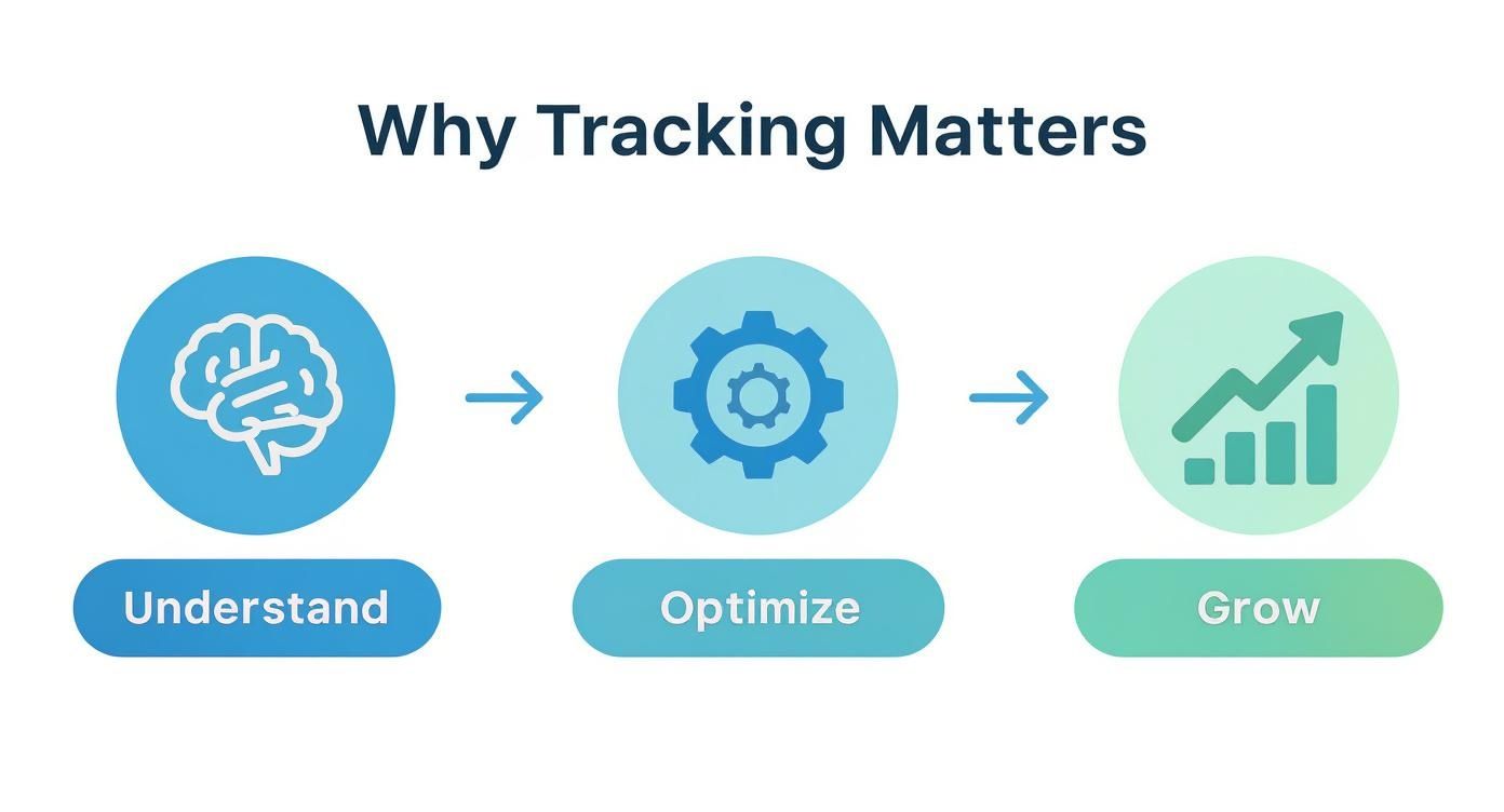 Infographic about tracking affiliate links
