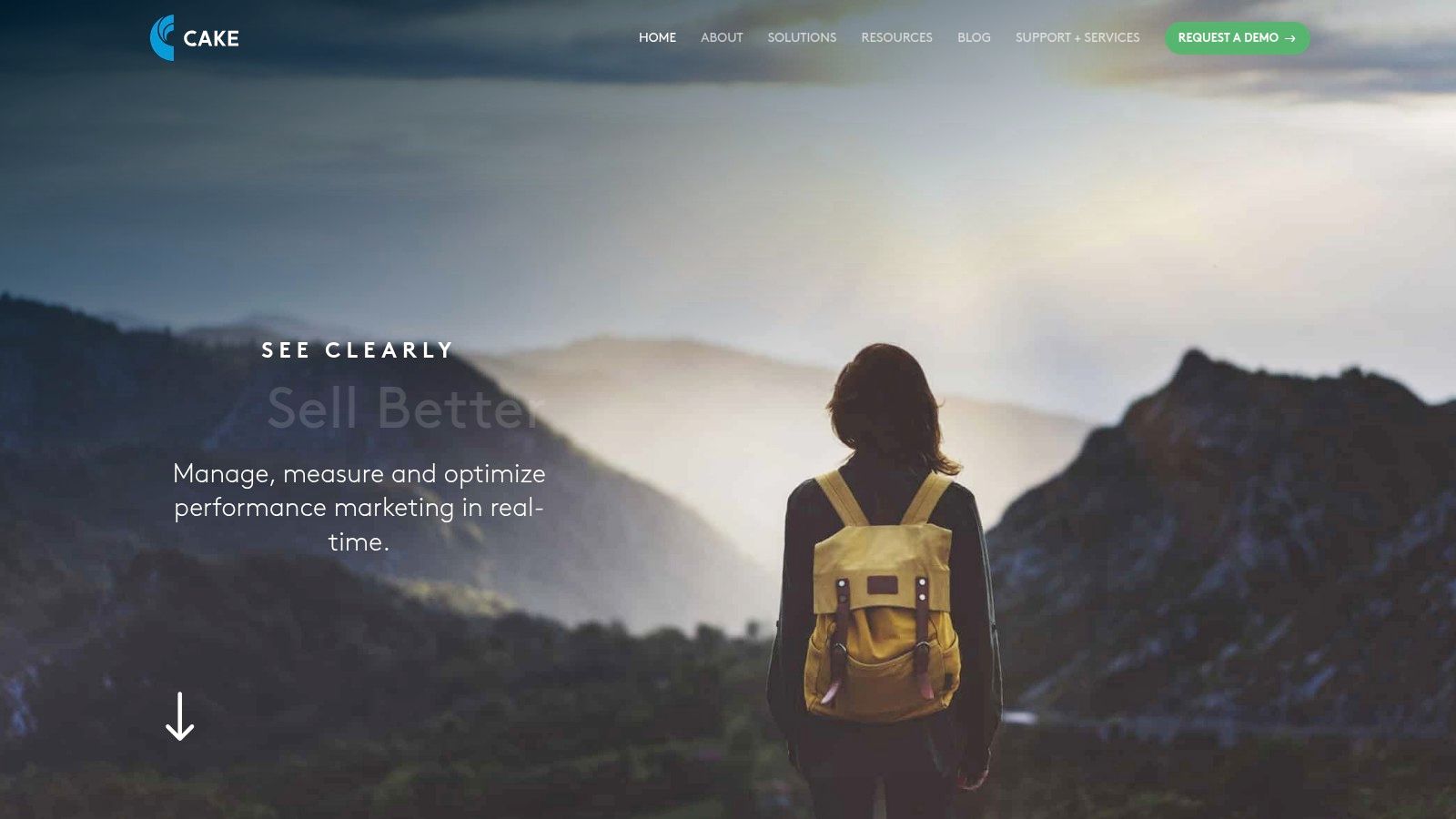 CAKE (Performance Marketing Software)