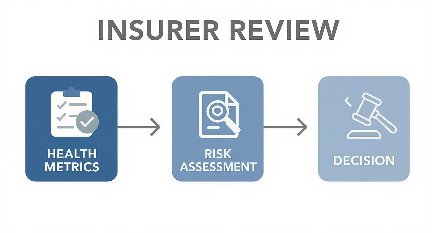Infographic about life insurance for diabetics type 2