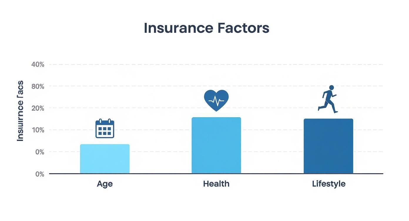 Infographic showing the main factors influencing insurance costs Age, Health, and Lifestyle