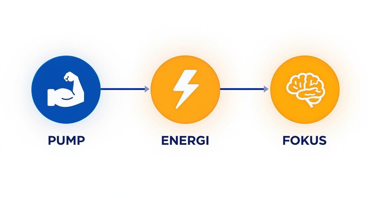 Infographic about pre workout best i test