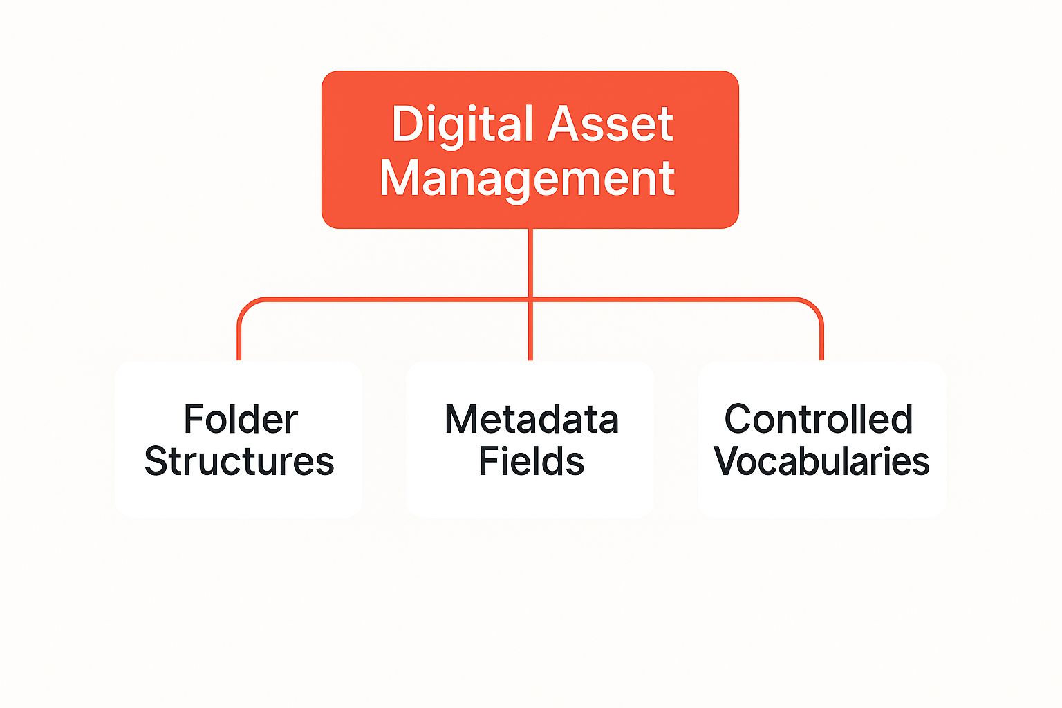 Infographic showing the hierarchy of a Digital Asset Management taxonomy, starting with 'Digital Asset Management' at the top, which branches down into 'Folder Structures', 'Metadata Fields', and 'Controlled Vocabularies'.