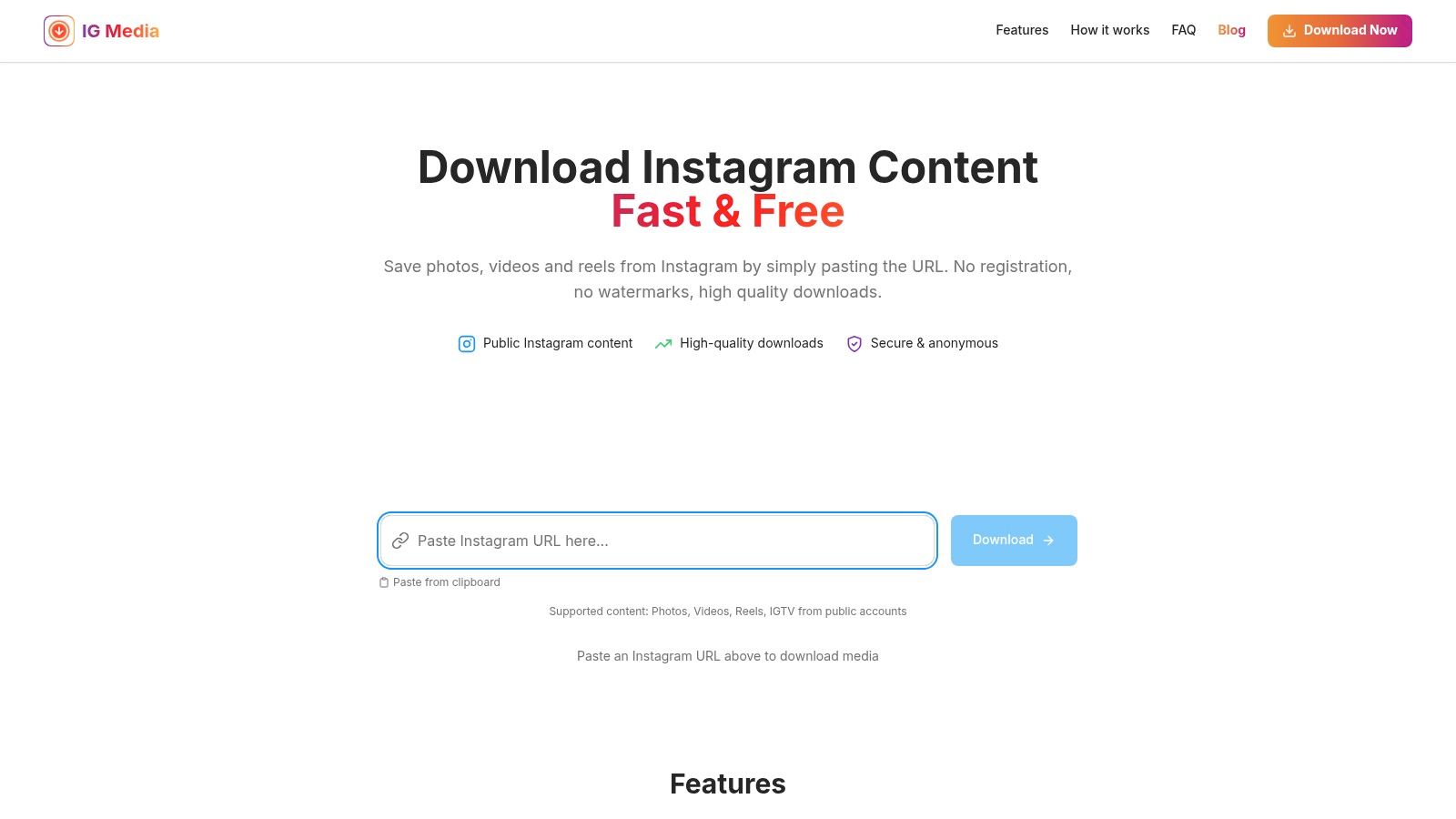 IG Media