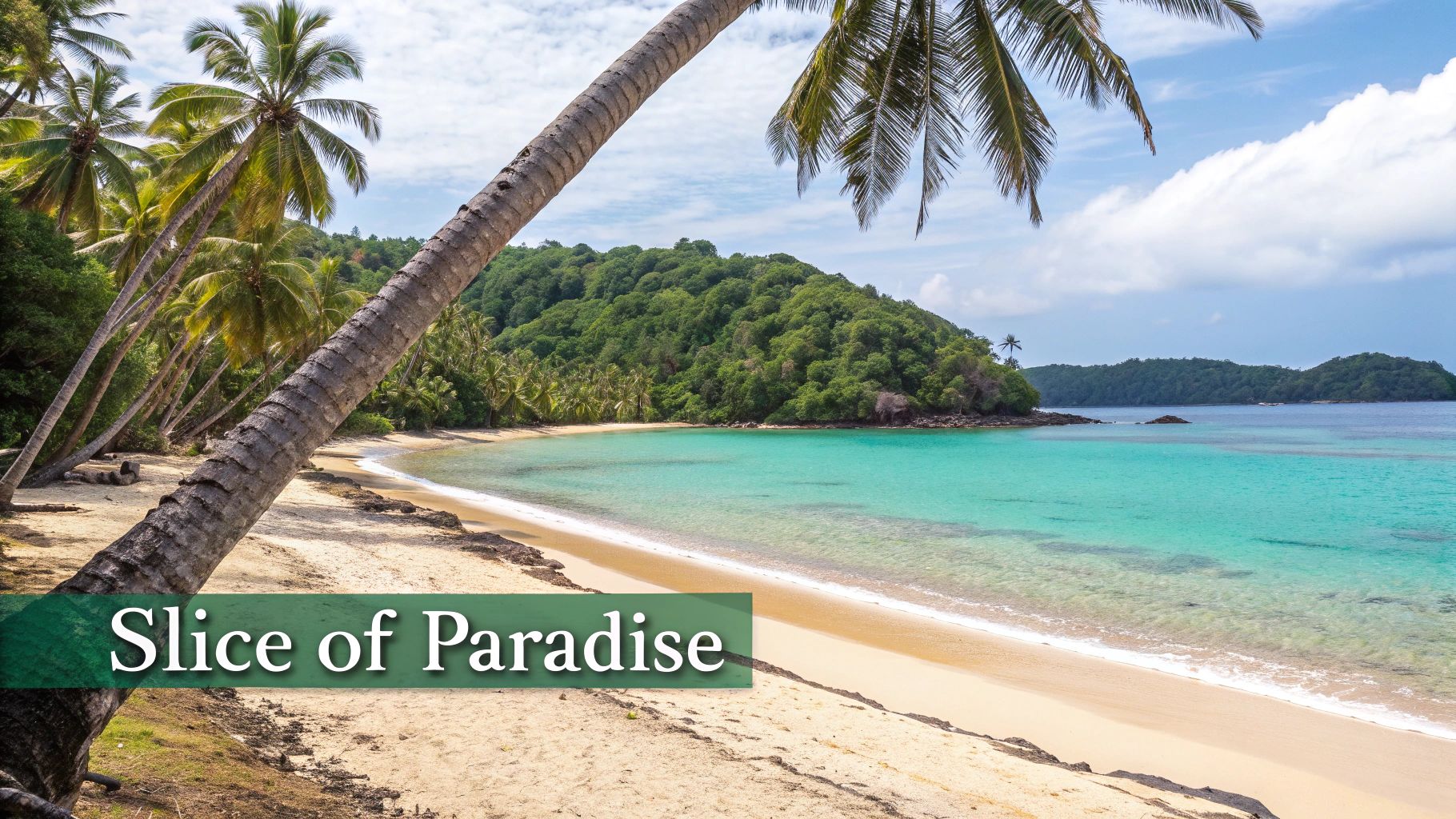 Lush green hills meeting the turquoise Caribbean sea in Samana, Dominican Republic.