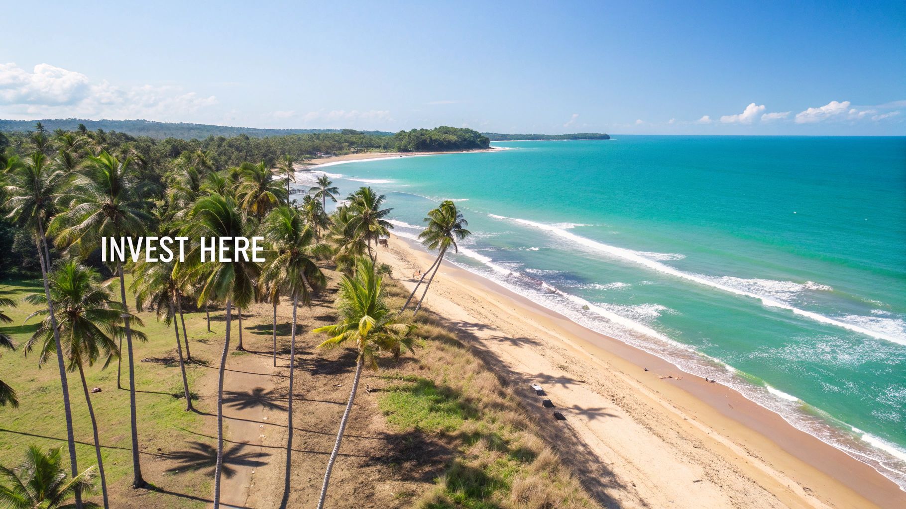 Superbe vue aérienne d'une plage tropicale avec eau turquoise, sable, palmiers et inscription « INVESTISSEZ ICI ».