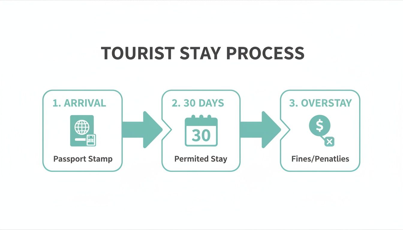Diagrama de flujo que ilustra el proceso de estadía turística desde la llegada y la estadía permitida de 30 días hasta las sanciones por estadía excesiva.