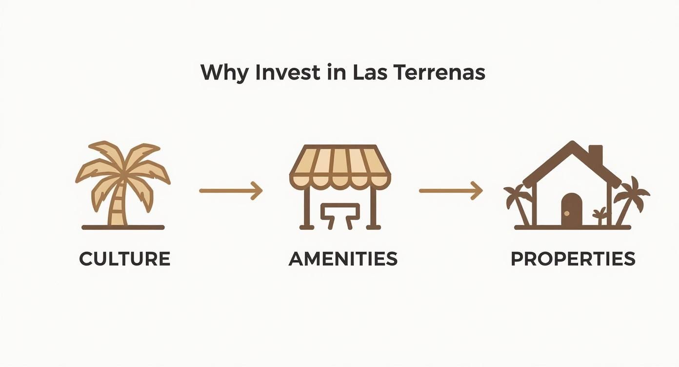 Infografía que muestra el flujo desde la cultura, pasando por los servicios, hasta las propiedades como razones para invertir en Las Terrenas.