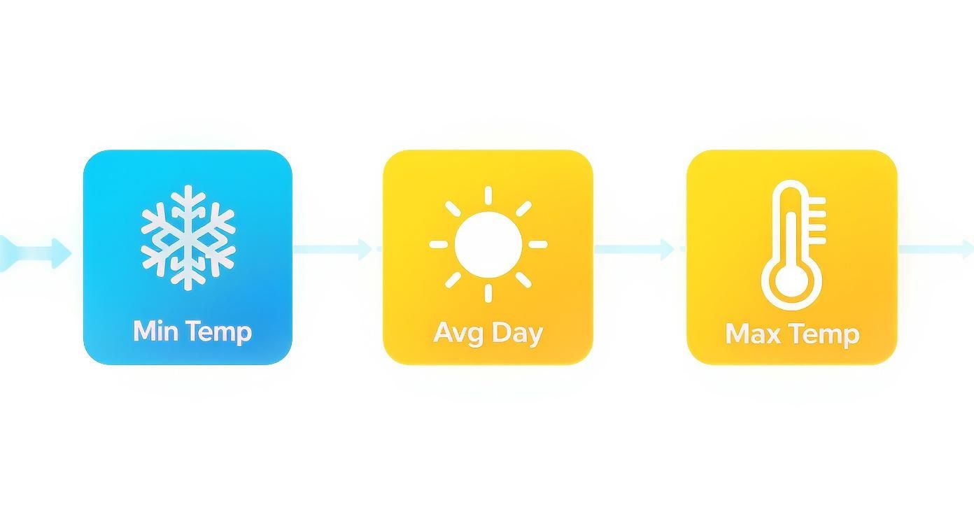 Infografía sobre el clima de las terrenas
