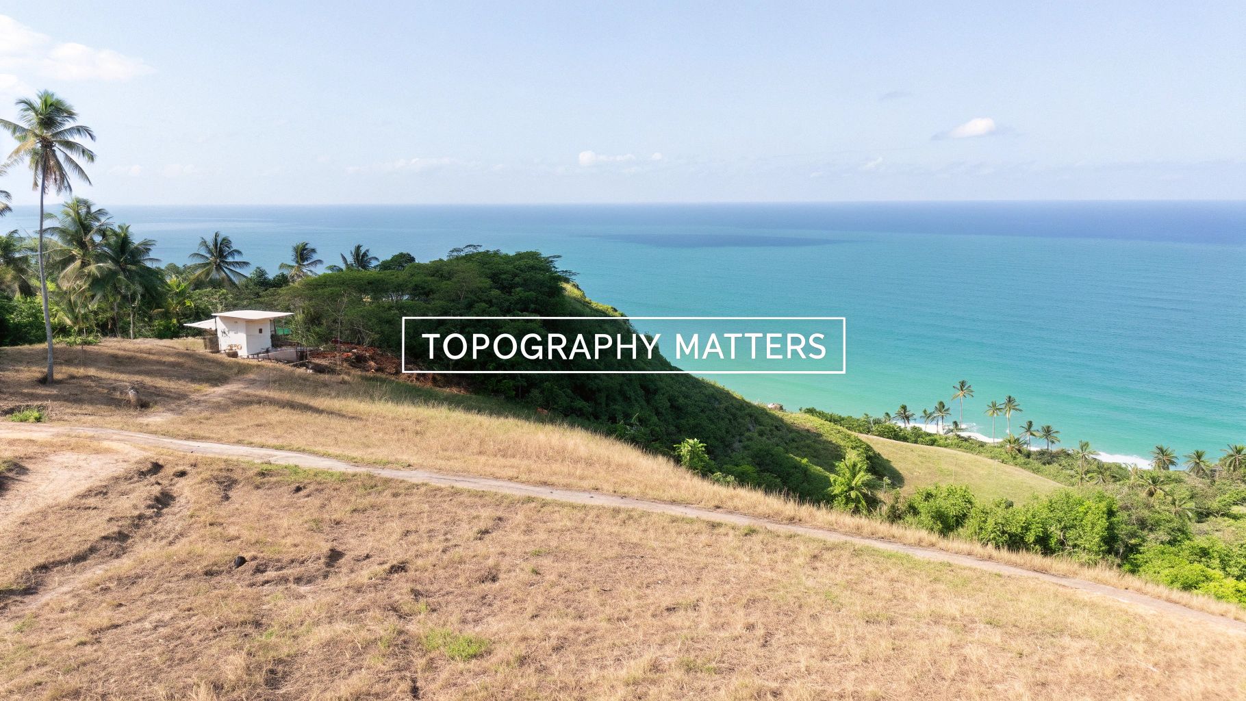 Vue aérienne d'un littoral tropical animé avec une colline herbeuse, des palmiers, un petit bâtiment et l'océan bleu.