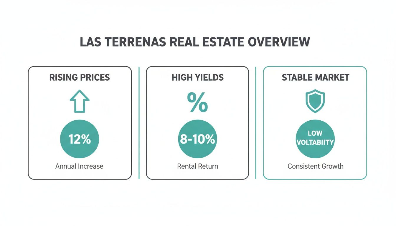 Infographie présentant un aperçu du marché immobilier de Las Terrenas, caractérisé par des prix en hausse, des rendements élevés et un marché stable.