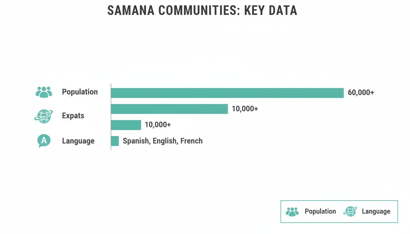 Un gráfico de barras titulado 'Comunidades de Samaná: datos clave' que muestra una población de 60,000+, expatriados de 10,000+ e idiomas español, inglés y francés.