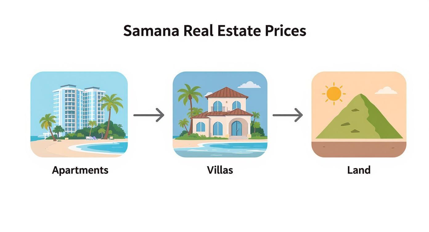 Comparaison des types de biens immobiliers à Samana : appartements, villas et terrains à bâtir
