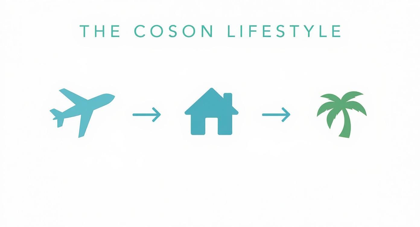 L'infographie Coson sur le style de vie présente des icônes d'avion, de maison et de palmier en séquence