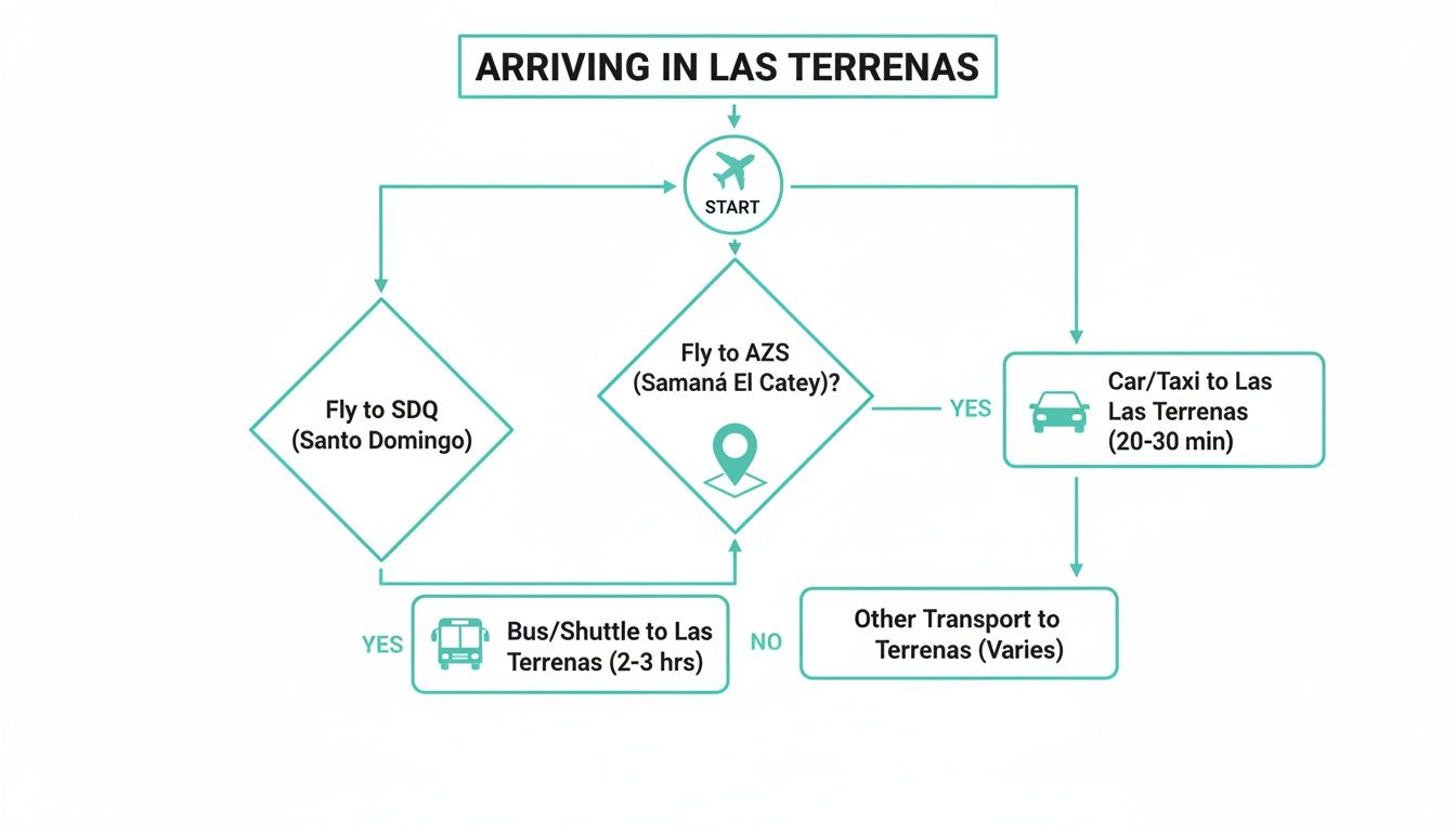 Organigramme détaillant les différentes options de voyage et les itinéraires de transport terrestre pour arriver à Las Terrenas.