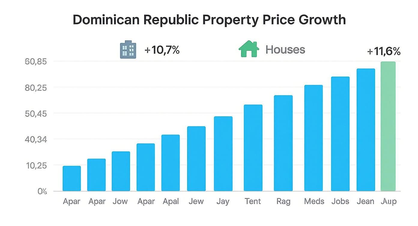 Infographie sur les maisons à vendre en République dominicaine
