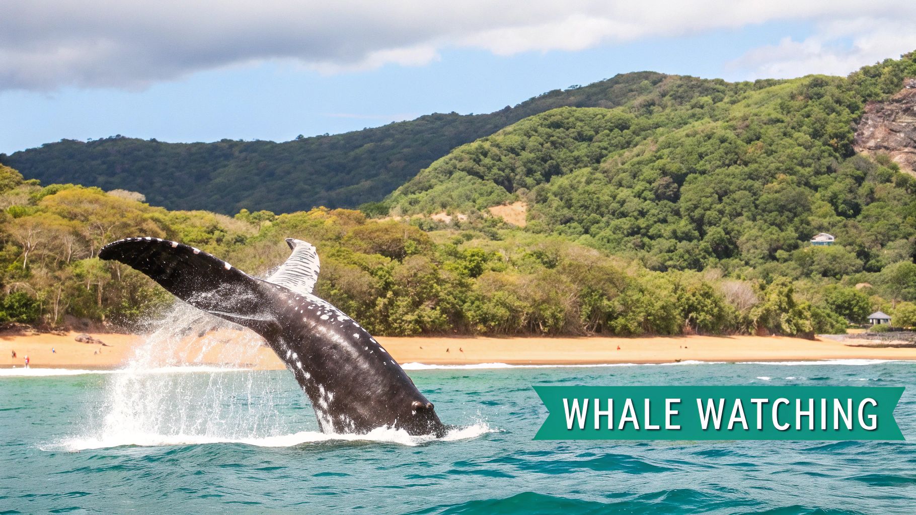 Amber Cove and Costa Dorada