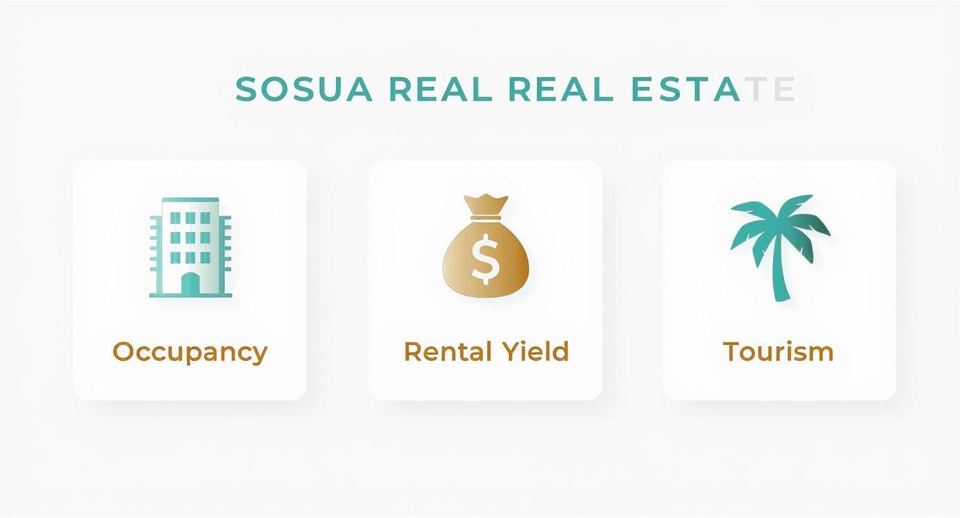Infografía sobre bienes raíces en Sosúa, República Dominicana