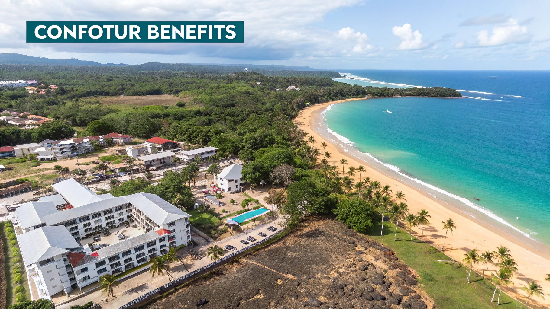Palm trees framing a sunny beach in Las Terrenas, Dominican Republic
