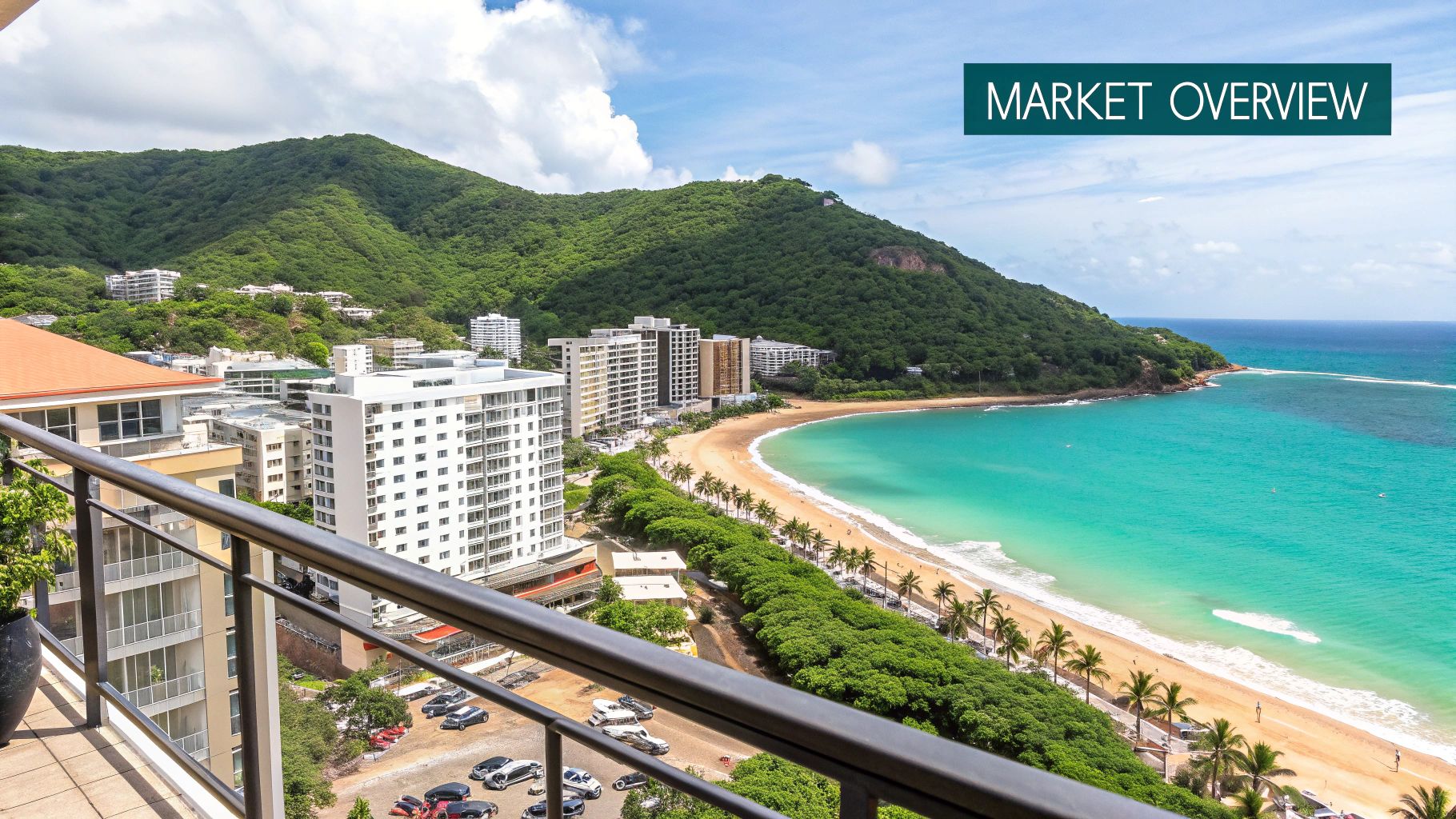 Lush green hillsides meeting the turquoise Caribbean sea on the Samaná Peninsula.
