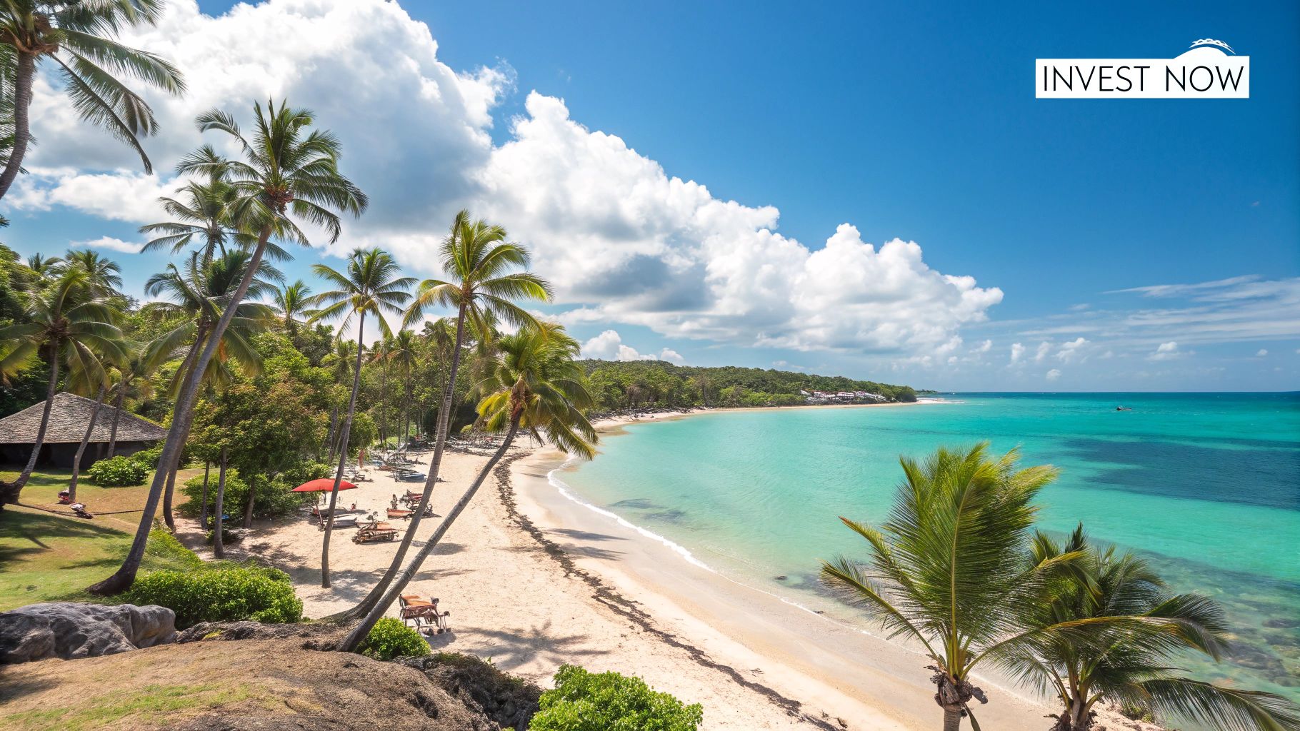 Vista de una playa tropical con palmeras y agua azul clara en la República Dominicana.