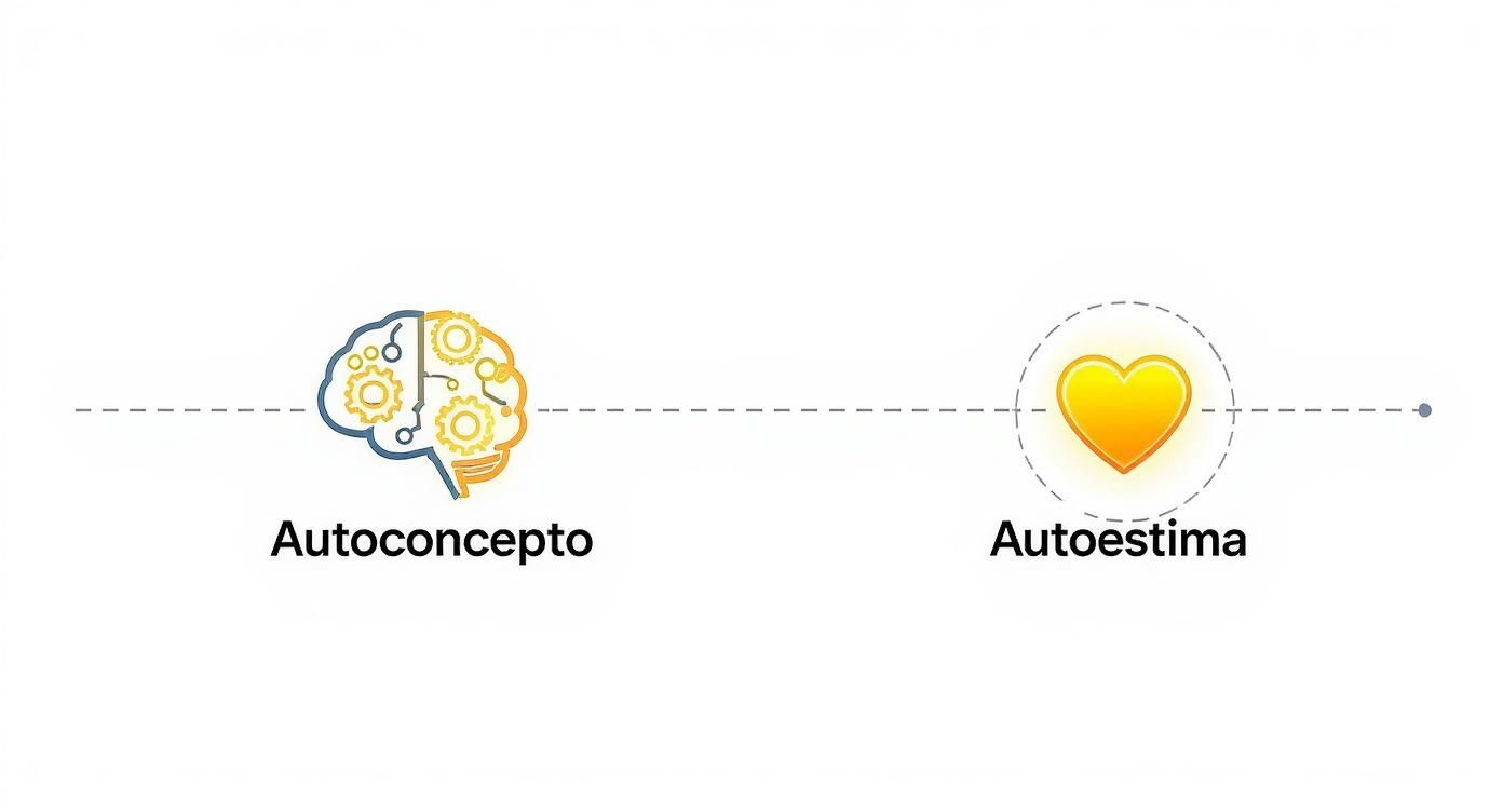 Diagrama que ilustra la conexión entre el autoconcepto (cerebro con engranajes) y la autoestima (corazón).