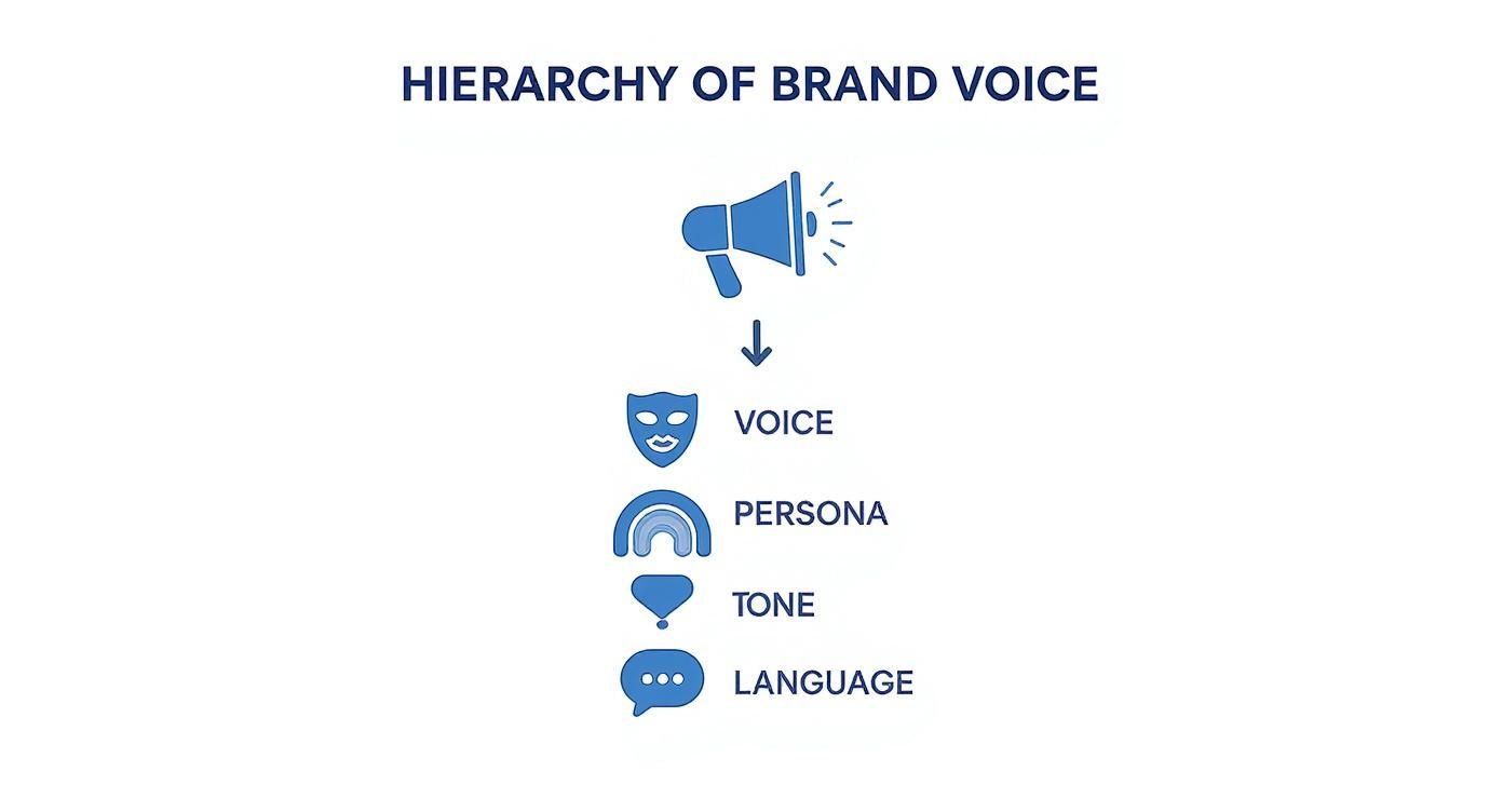 Infographic about what is brand voice