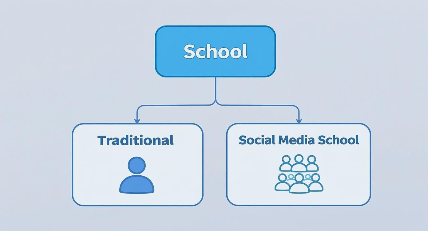 Infographic about social media school