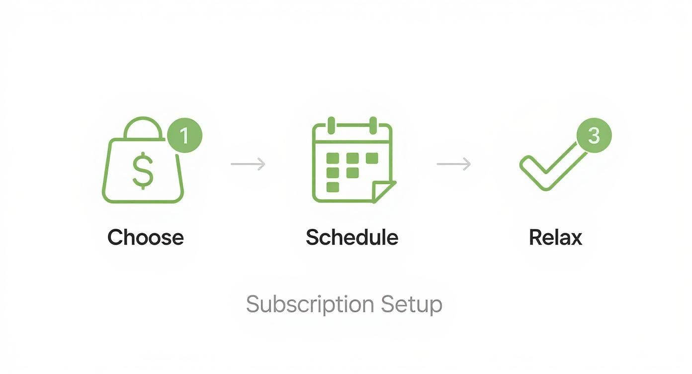 Infographic showing a 3-step process to set up a subscription with icons for choosing bags, scheduling delivery, and relaxing.