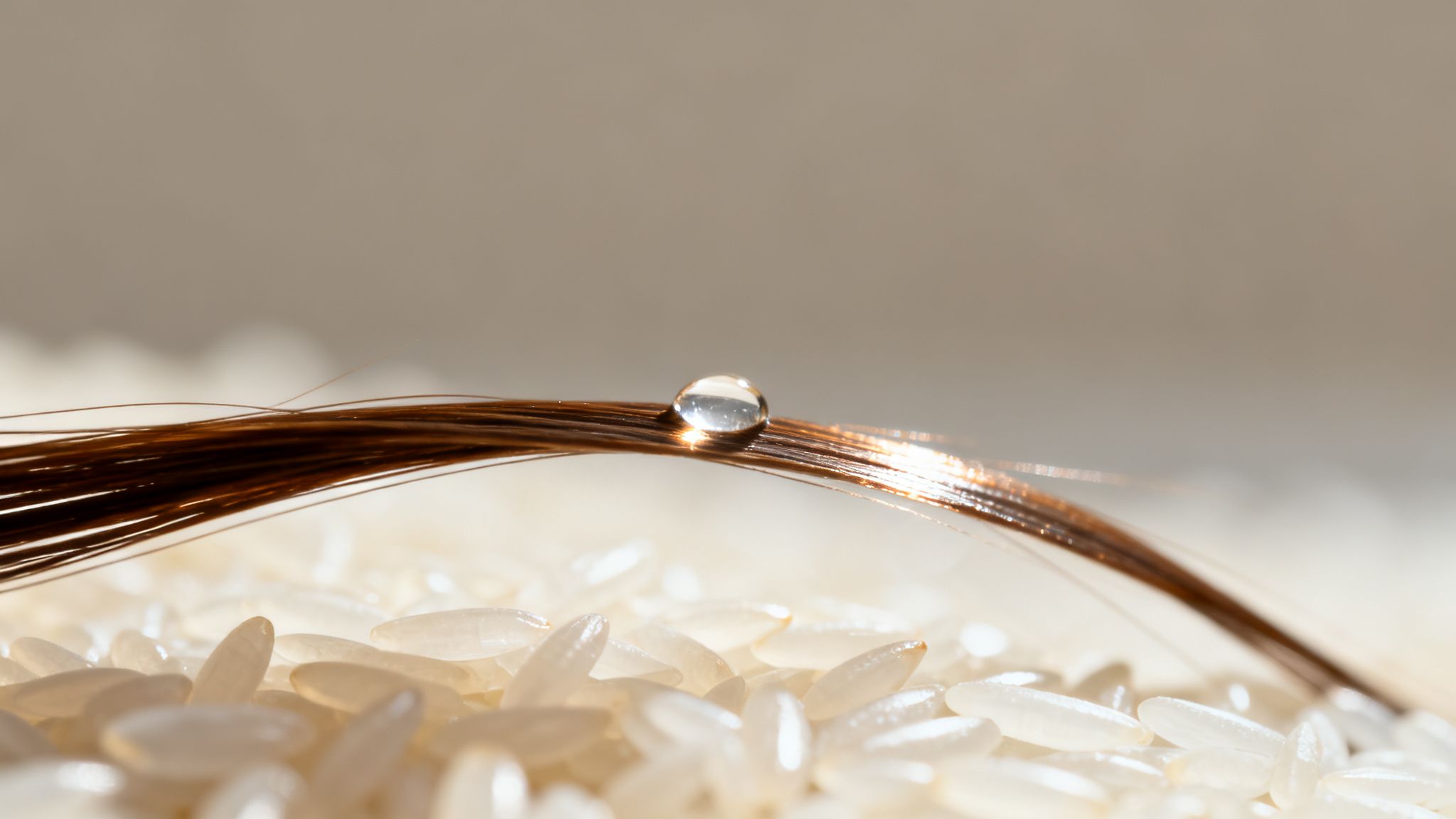 Gros plan d'une goutte d'eau claire sur une mèche de cheveux brun foncé, reposant sur des grains de riz blanc.