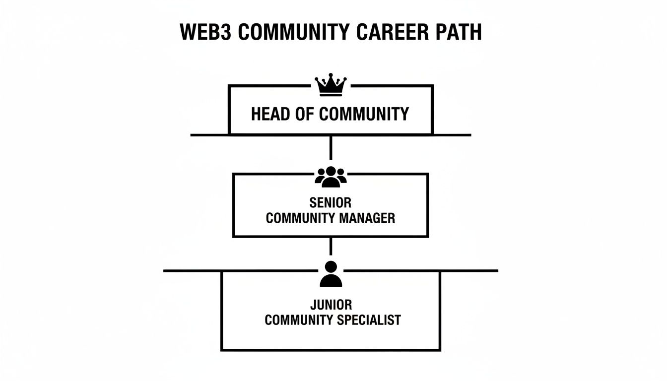 A flowchart illustrating the Web3 community career path from Junior Specialist to Head of Community.