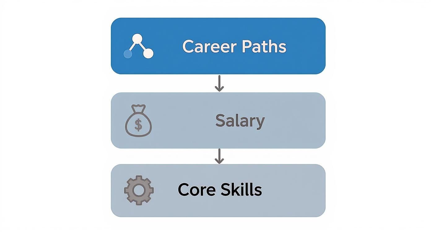 Flowchart showing career paths, salary considerations, and required core skills, with relevant icons.
