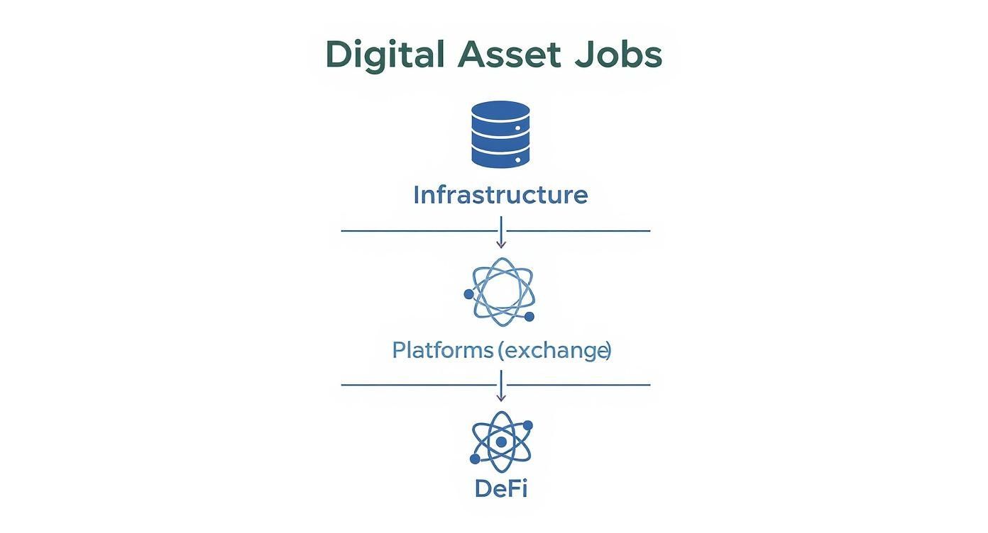 A hierarchical diagram illustrating digital asset job categories: Infrastructure, Platforms (exchange), and DeFi.