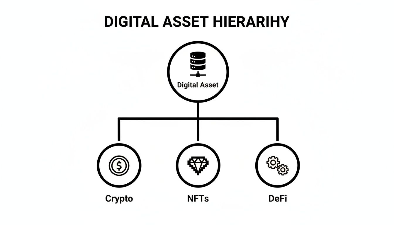 Hierarchy chart illustrating digital assets encompassing Crypto, NFTs, and DeFi categories.