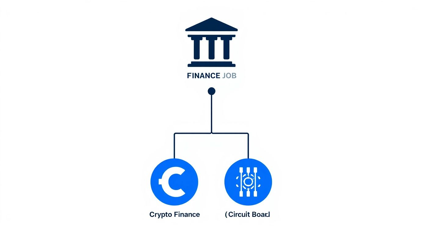 Infographic about crypto finance jobs