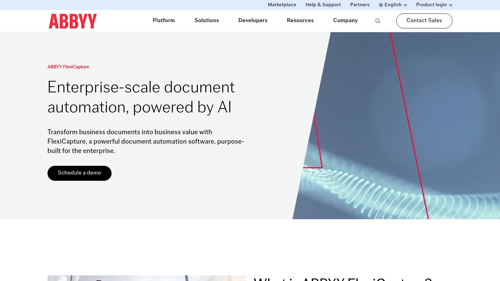 ABBYY – FlexiCapture for Invoices (and ABBYY Vantage)