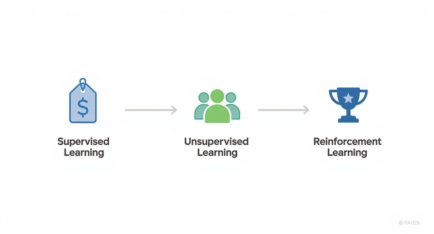 Infographic about machine learning in business