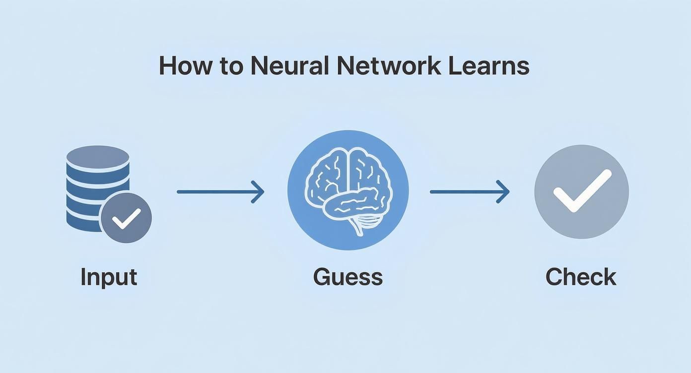 Diagram illustrating the neural network learning process: input data leads to a guess, followed by a check.