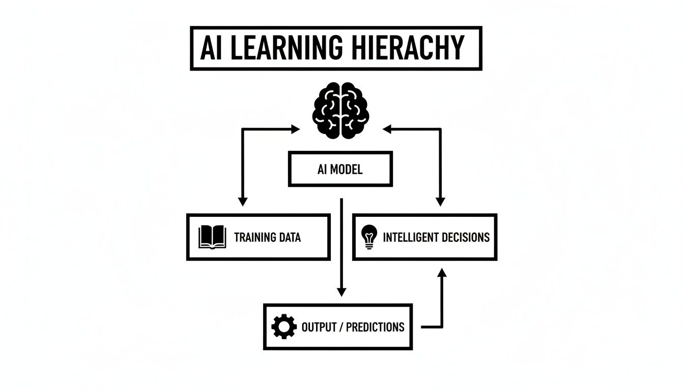 A diagram illustrating the AI learning hierarchy, showing the model, training data, and decision feedback loop.
