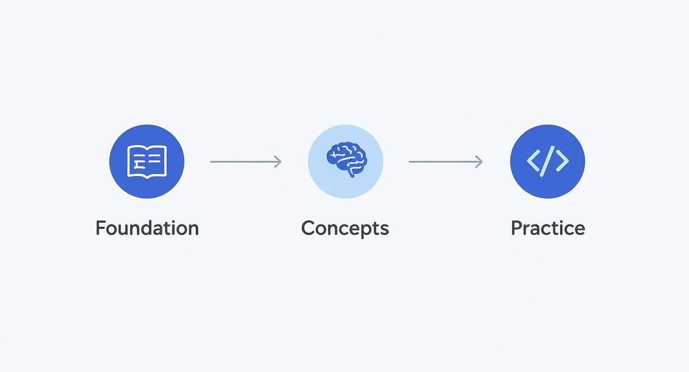 Infographic about how can i learn machine learning
