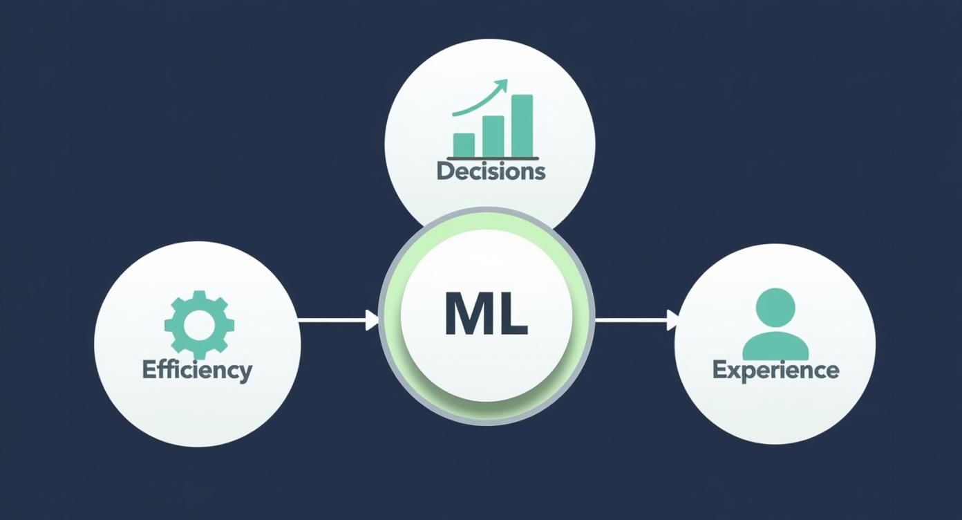 Infographic about machine learning for businesses