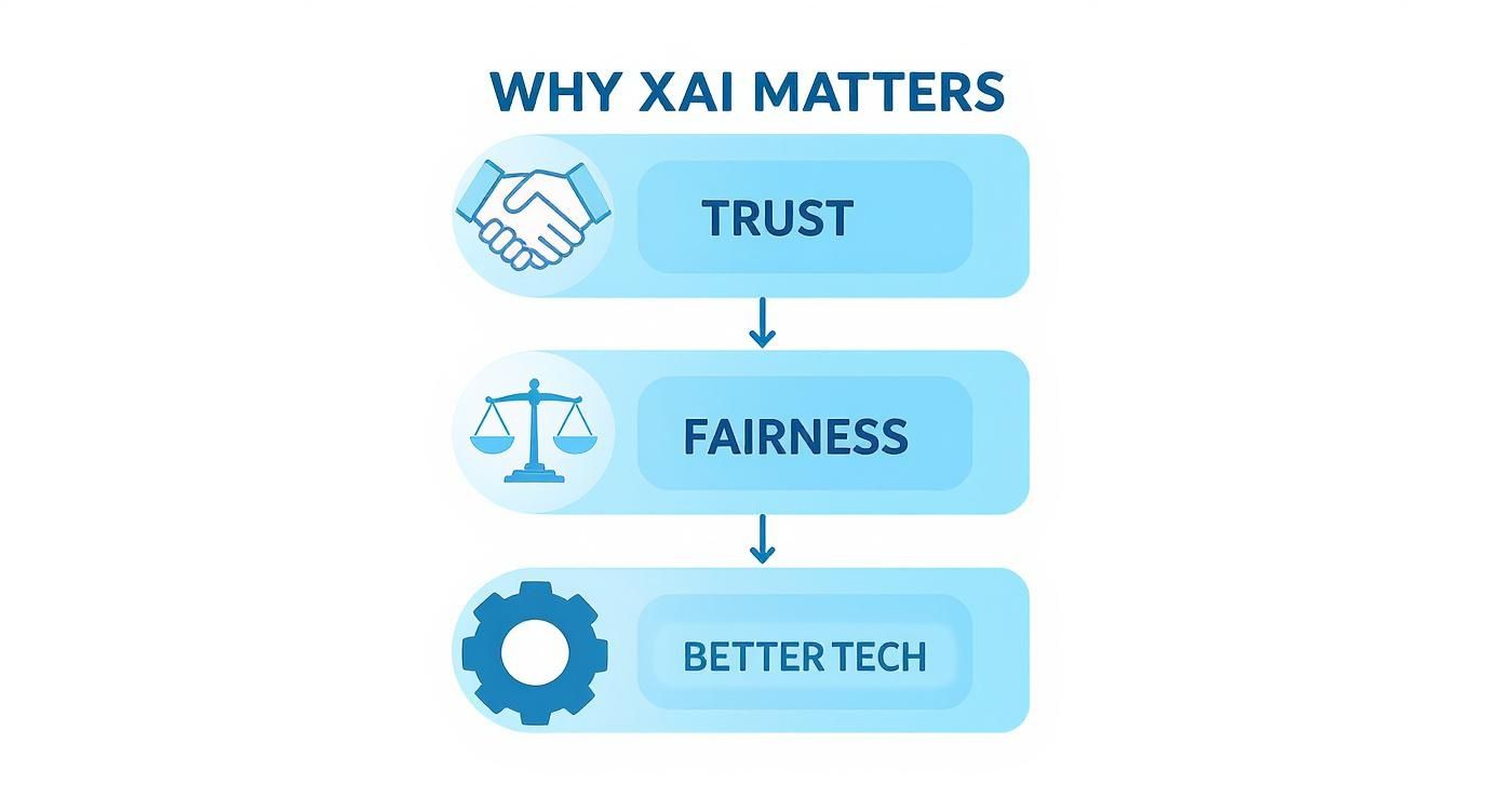 Flowchart illustrating why Explainable AI (XAI) matters, highlighting trust, fairness, and better technology.