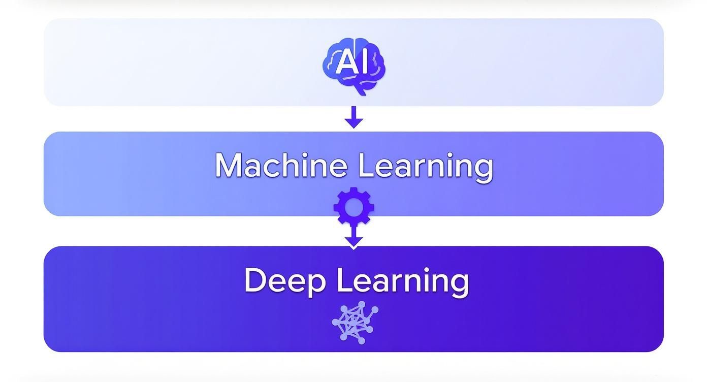 Infographic about learning about artificial intelligence