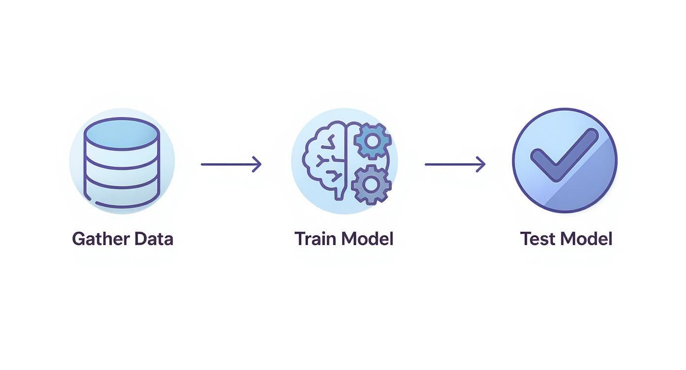Machine learning workflow diagram showing three stages: gather data, train model, and test model with arrows