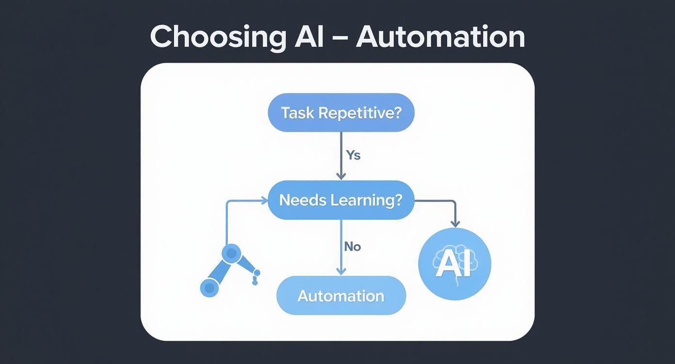 Infographic about difference between ai and automation