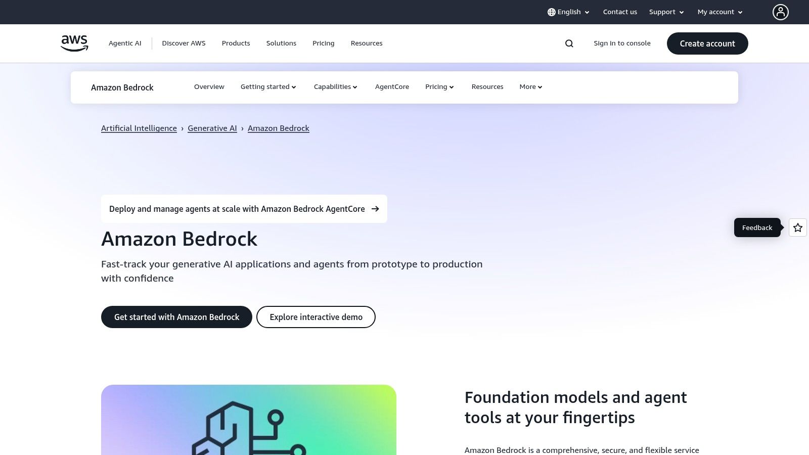 AWS (Amazon Bedrock and AWS Marketplace)